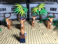 [20211218.JPG]